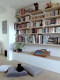 a cat sitting on a pillow in front of a bookshelf