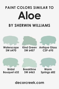 Colors Similar to SW 6464 Aloe Sherwin Williams Breaktime, Nursery Color Ideas, Mint Paint, Nursery Color, Sea Salt Sherwin Williams, Warm Springs, River Cottage, Green Paint Colors, Green Bedroom