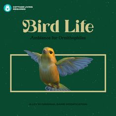 the front cover of a book with an image of a bird in flight