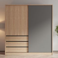 an empty room with a large sliding door and potted plant on the floor next to it