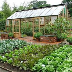 a garden filled with lots of green plants next to a small building and trees in the background