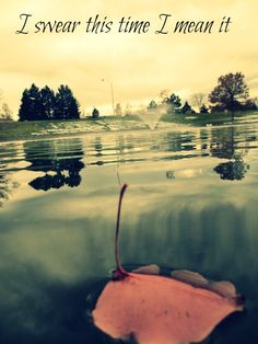 a leaf floating on top of water with the words i swear this time i mean it