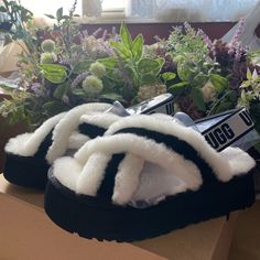 Size 7 Black White Stripe Ugh Slippers. Never Worn And Come With The Box. Brand New. No Flaws And Comes From A Smoke Free Home. Couldn’t Return Them Because They Were Passed The Date. Ugg Disco Cross Slide, Ugg Disco, Shoes Ugg, Womens Uggs, Ugg Shoes, White Stripe, Slippers, Size 7, Black White