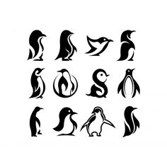 the different types of penguins are shown in black and white