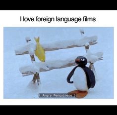 a penguin sitting on top of a bench in the snow next to a yellow fish