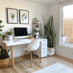 a white desk topped with a computer monitor next to a potted plant on top of a hard wood floor