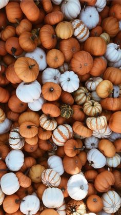 many different types of pumpkins are stacked together