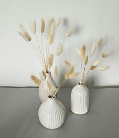 two white vases with dried plants in them