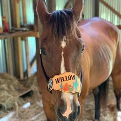 a brown horse with a name tag on it's neck