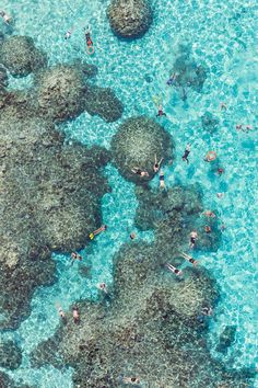 an aerial view of people swimming in the water near large rocks and coral reefes