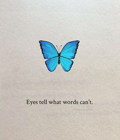 a blue butterfly with the words eyes tell what words can't be written on it