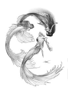 an ink drawing of two fish in the water