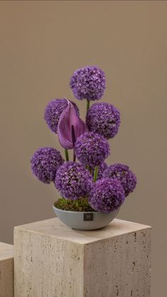 purple flowers in a bowl on top of a block