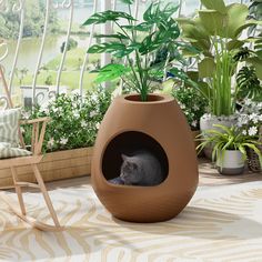 a cat sitting in a planter on the ground next to a chair and potted plant