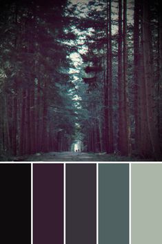 a forest with lots of trees in it and the color scheme is blue, green, gray