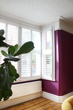 a living room with purple walls and white shutters