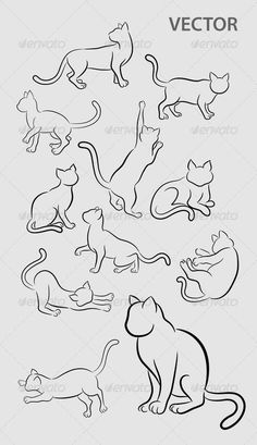 an image of cats in different poses on a white background with the words, cat icon set