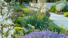 a garden with lots of different types of flowers and plants in the middle of it