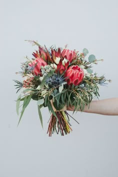 a person holding a bouquet of flowers with greenery and foliage on the stems, in front of a white wall