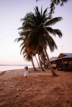 a woman standing on top of a sandy beach next to palm trees in front of the ocean