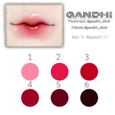 the lip color chart with different shades