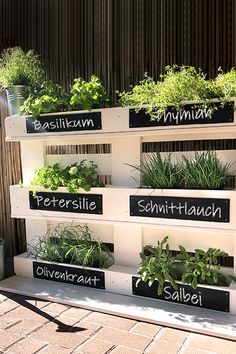 an outdoor herb garden with herbs growing in it