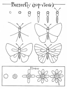 butterflies and flowers with the words butterfly top view on it's bottom right side