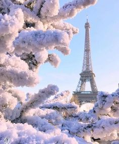 the eiffel tower is covered in snow