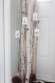 three white birch trees in front of a door with pine cones on the floor next to them