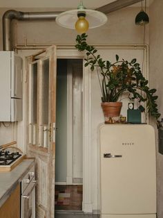 a small kitchen with an old refrigerator and potted plants