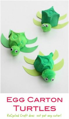 an egg carton turtle craft for kids to make