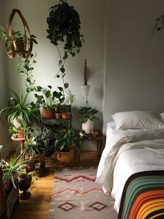 a bedroom with potted plants on the wall and a bed in the foreground