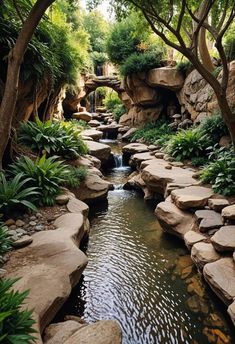 a small stream running through a lush green forest filled with lots of trees and rocks