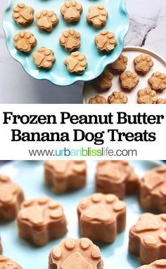 the frozen peanut butter banana dog treats are ready to be eaten