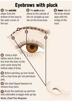 How to shape/pluck natural looking eyebrows How To Pluck Eyebrows, Pluck Eyebrows, Permanente Make-up, Best Eyebrow Makeup, Plucking Eyebrows, Arched Eyebrows, Eyebrow Makeup Tips, Fill In Brows