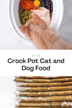 a cat is eating food out of a bowl with the words crock pot cat and dog food