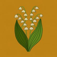 a drawing of lily of the valley on a yellow background with green leaves and white flowers