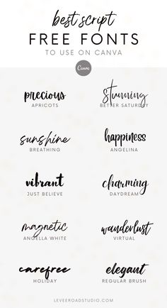 the best font styles to use on canvas