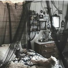 a cat is laying on a bed with black netting over the headboard and pillows