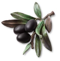 Hemmerle Nature’s Jewels Collection (Munich): Black Olive (iron, silver, copper, gold) Vegetable Jewelry, Bijoux Art Nouveau, Black Olives, Fruit Jewelry, Fantasy Closet, Jewelry Post, Unusual Jewelry, Black Olive, Olive Branch