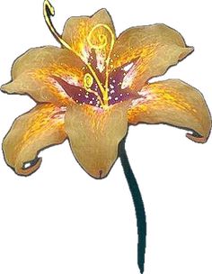 a yellow flower with swirls on it's petals is shown against a white background