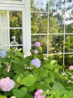 some pink and blue flowers in front of a window