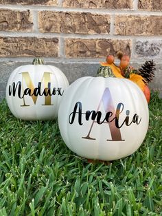 two painted pumpkins sitting in the grass with their names on them and some pine cones