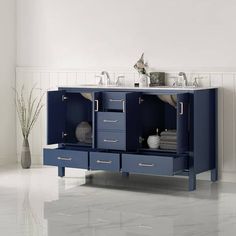 a bathroom vanity with two sinks and blue cabinets