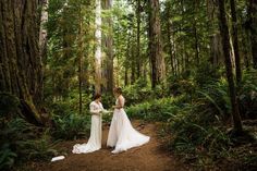 two brides standing in the middle of a forest holding hands and looking at each other