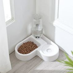 a dog bowl with water and food in it on the floor next to a window