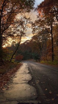 an empty road surrounded by trees and leaves