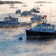 several boats in the water with fog coming off their tops and on to the ground