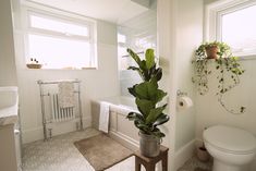 a bathroom with a toilet, tub and plants in it