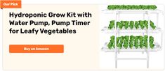 hydroponic grow kit with water pump, pump timer for leafy vegetables by amazon